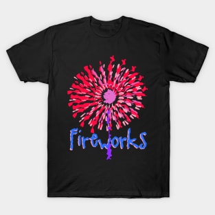 Fireworks Art 2 T-Shirt